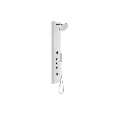 Move Shower System with Hydromassage