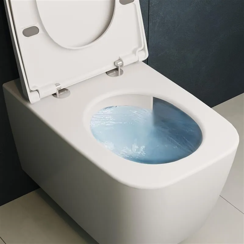 Sonic Flush technology